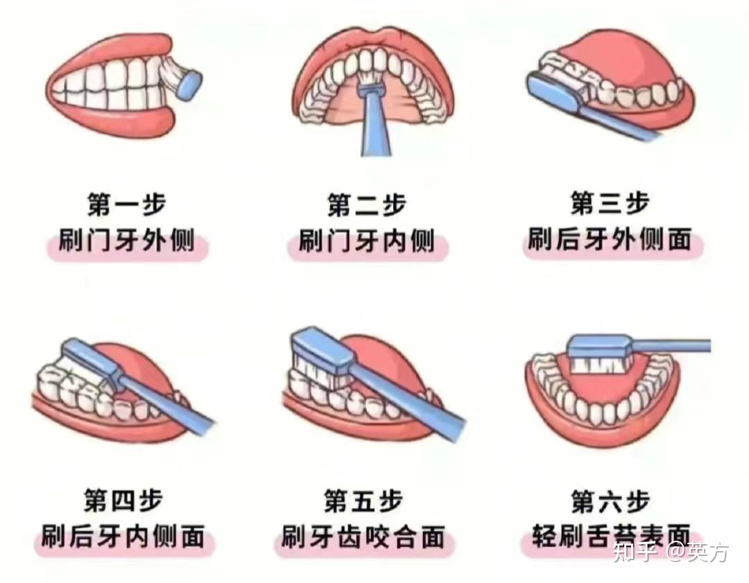 2,正確的刷牙方式