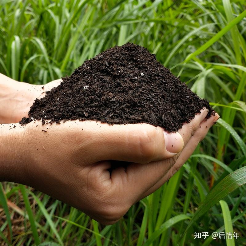 万年好营养土一捧土一棵苗