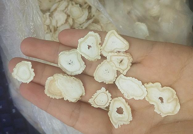 而同样是软枝, 人参切片质地疏松甚至有空心属正常,而西洋参如此多