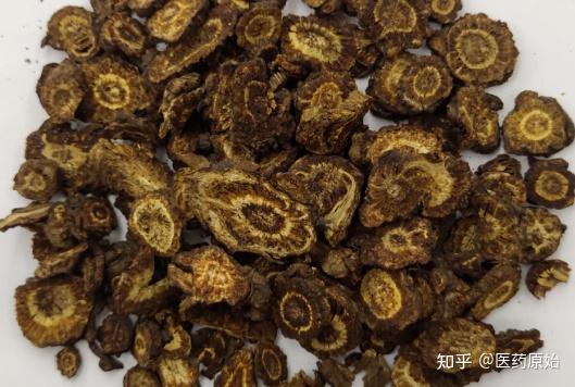 带你识别羌活 - 知乎