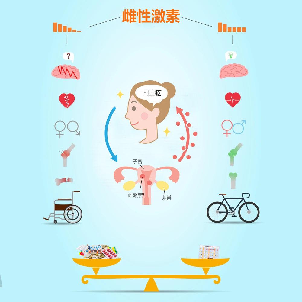 雌性激素六项(上): 如何判断你需要测雌激素