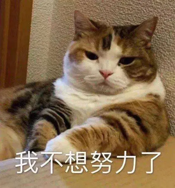 104张那种特别搞笑的表情包