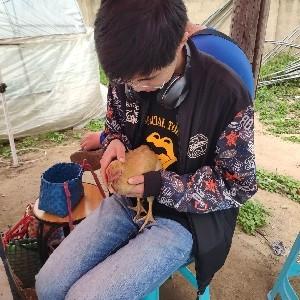 不爱吃辣