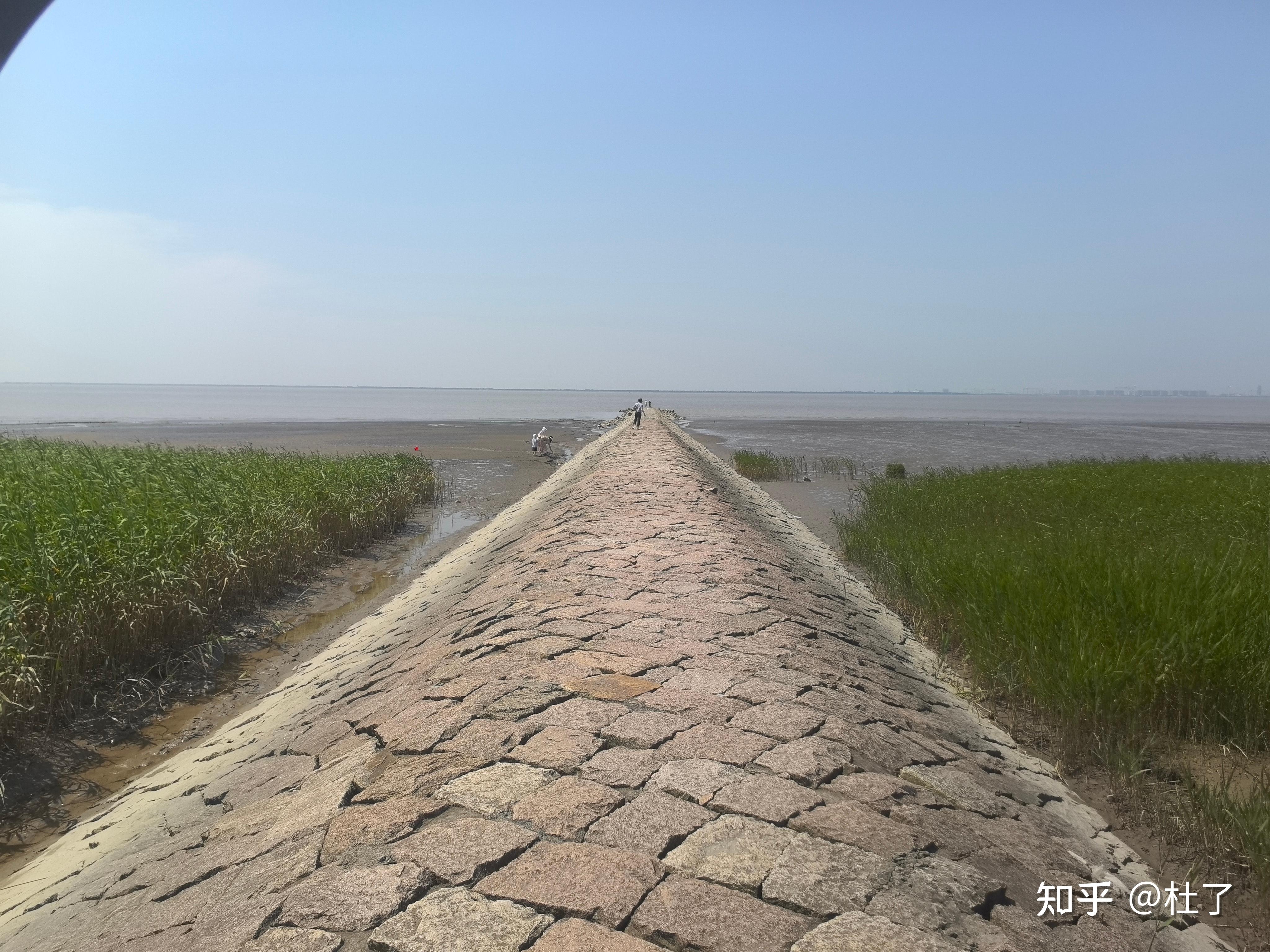 上海人都不一定知道的宝藏！崇明岛自驾游，绝美发现停不下来 - 知乎