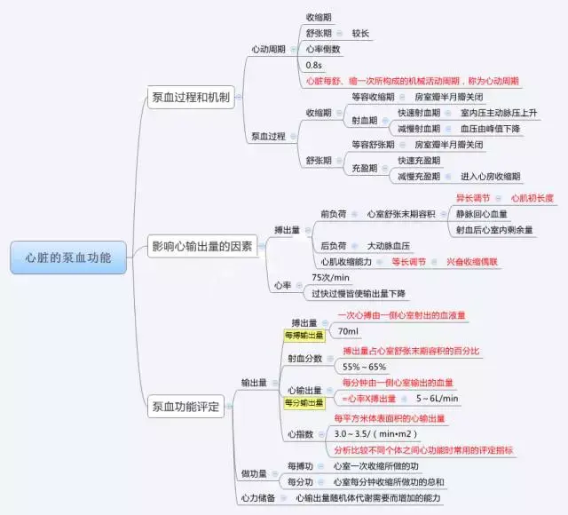 生理学思维导图