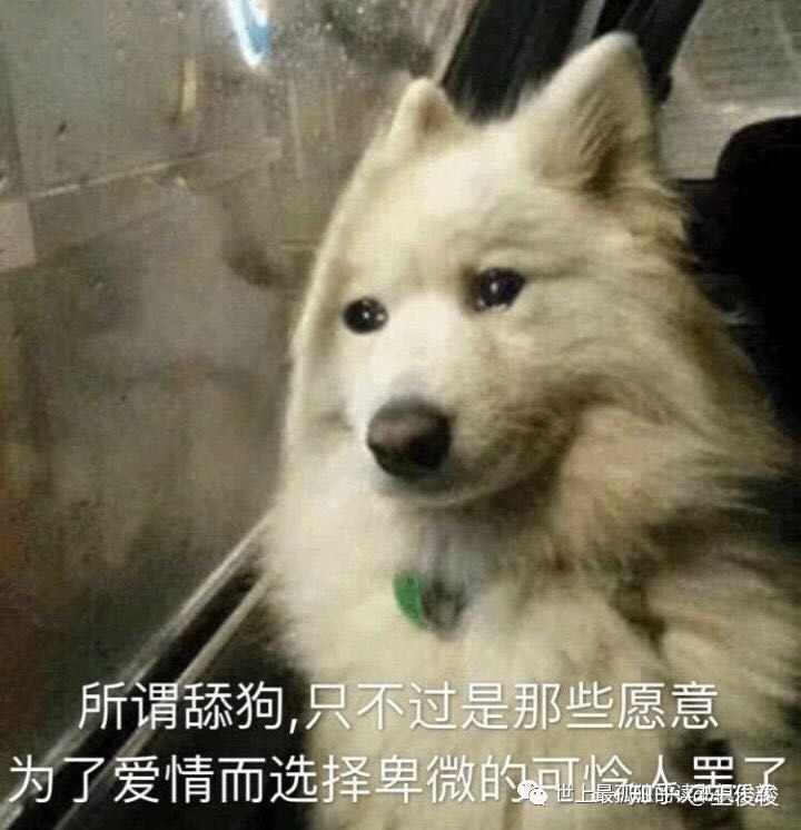 v2-cd3dfae5c1c5d2c040f51273855b05ed_r.jpg