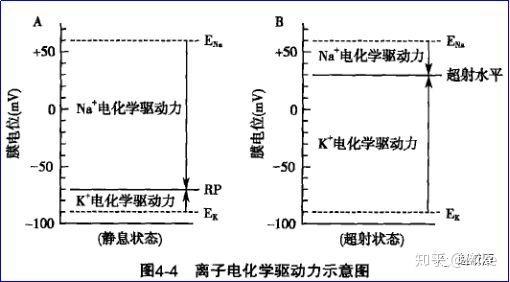 v2-cd4483cf1e0d5167d27b697994a8e4bf_r.jpg