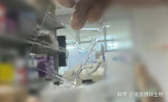 胶”通事故现场直击：WB配胶电泳翻车原因与解决方案（上篇） - 知乎