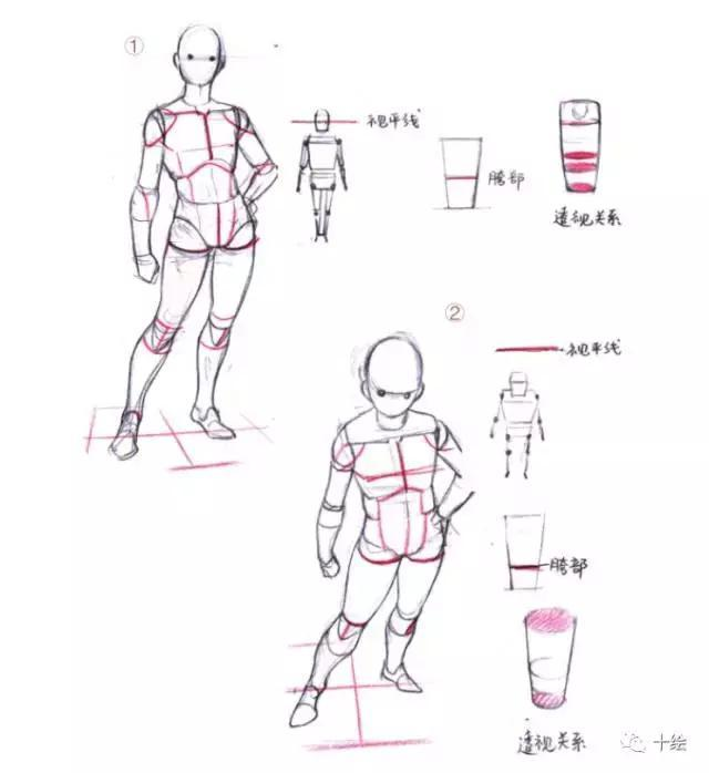怎么画人体结构图小学生 v2-cd5bdb46e03a0f4d367098e4ba8f71f5_r.jpg