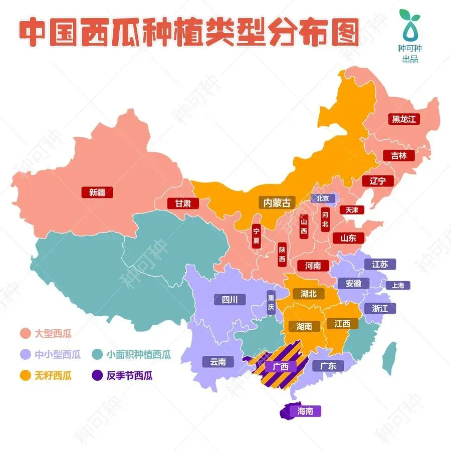 5000岁:西瓜原种溯源