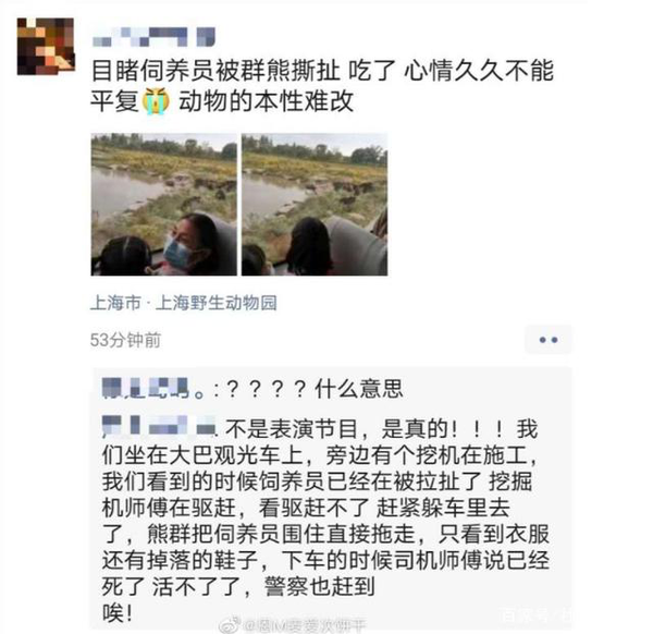 上海野生动物园熊吃人事件又有爆料 是谁先动的手 知乎