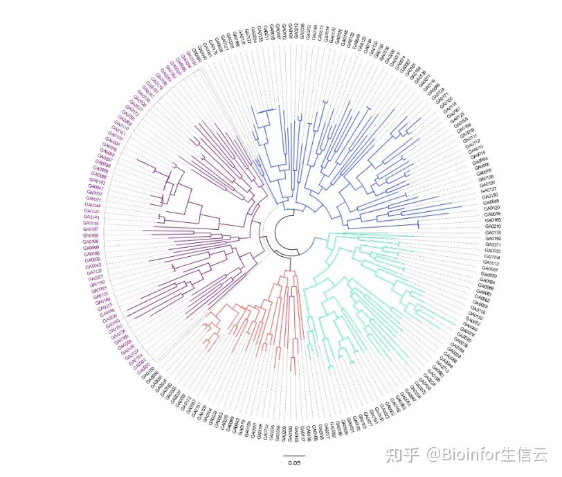 重测序分析（9）群体进化分析之构建进化树 - 知乎