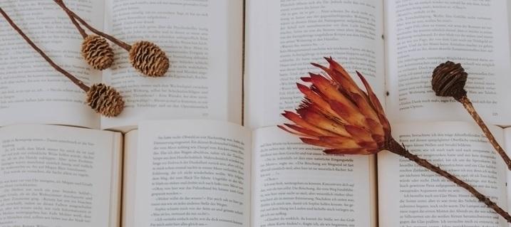 梦境迷踪，梦见被壁虎咬了——潜藏的寓意与心理解析