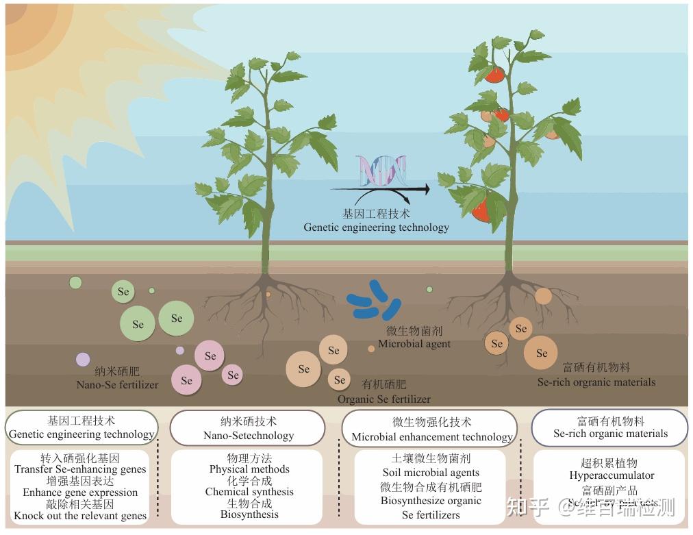 植物硒检测包：总硒+有机硒+无机硒与硒代氨基酸精准定量 - 知乎