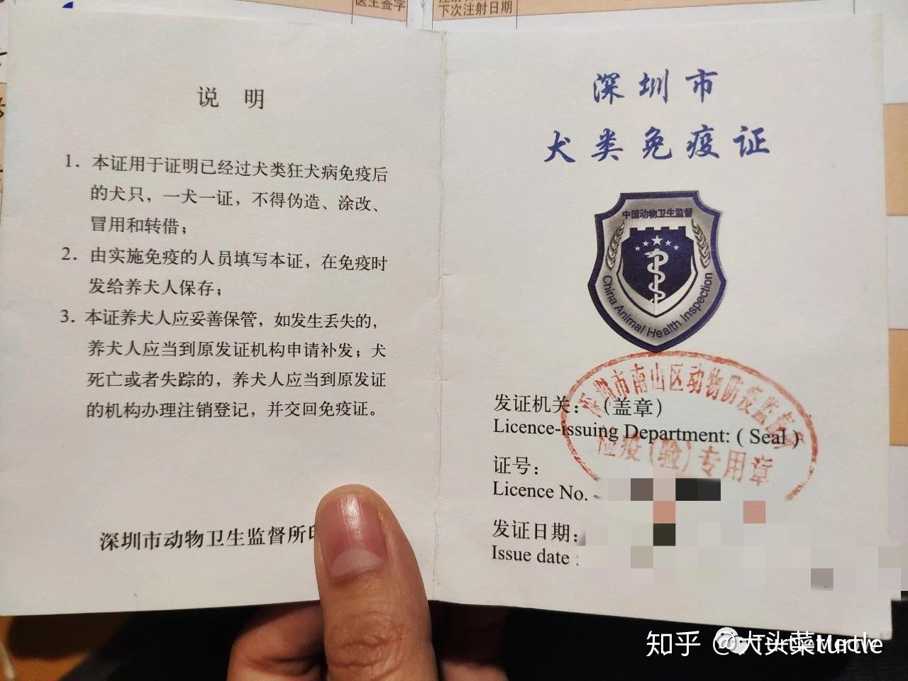 怎么带猫狗上飞机宠物猫狗的航空托运指北