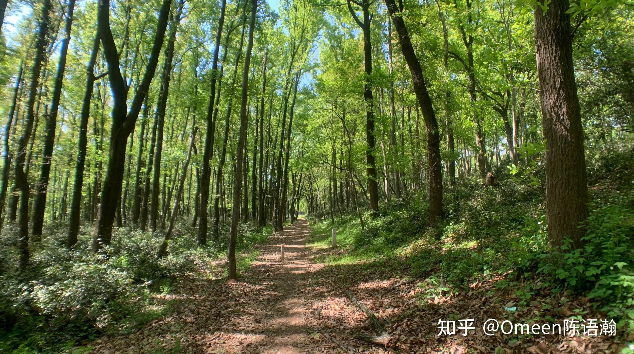 暮春行迹 - 知乎
