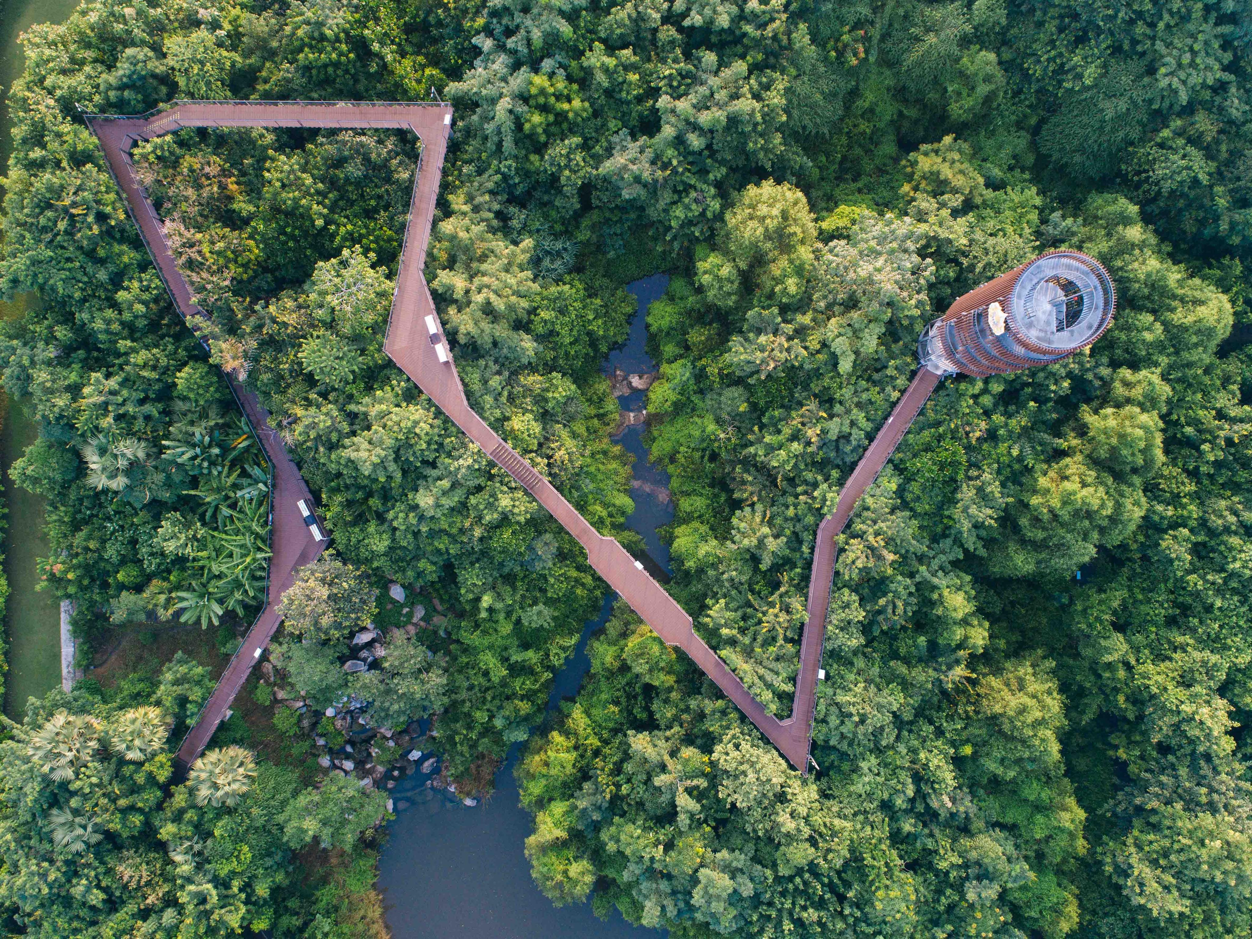 应对城市问题的本土设计——曼谷都市森林公园