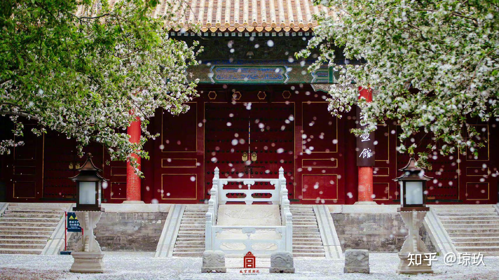 故宫的绝美春日壁纸——人民日报 - 知乎