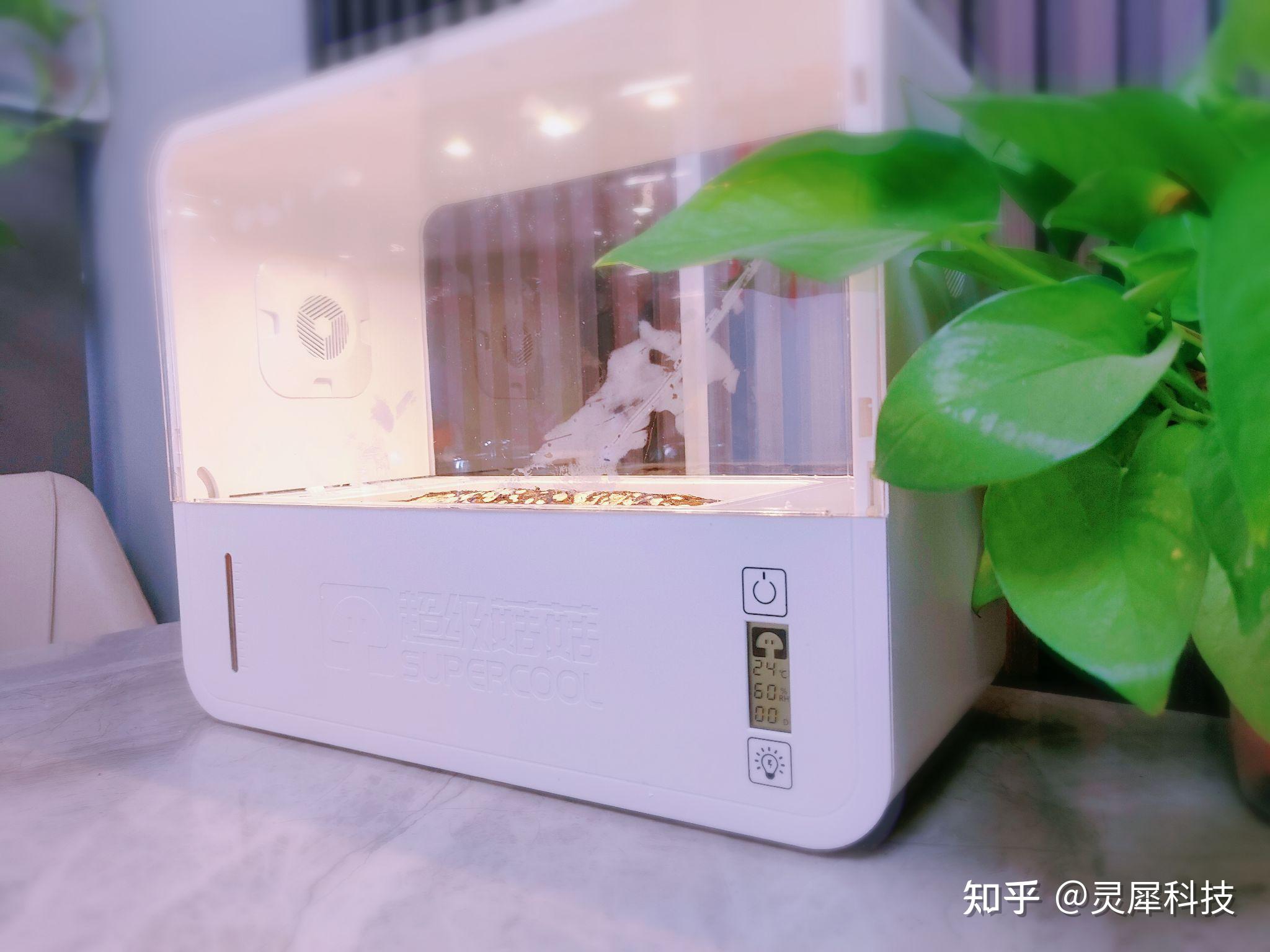 体验超级菇菇生态箱带来的科技种植乐趣! - 知乎