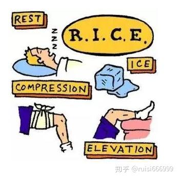 v2-cdeb8baead6c8e0c1bc27467919cc86b_b.jpg