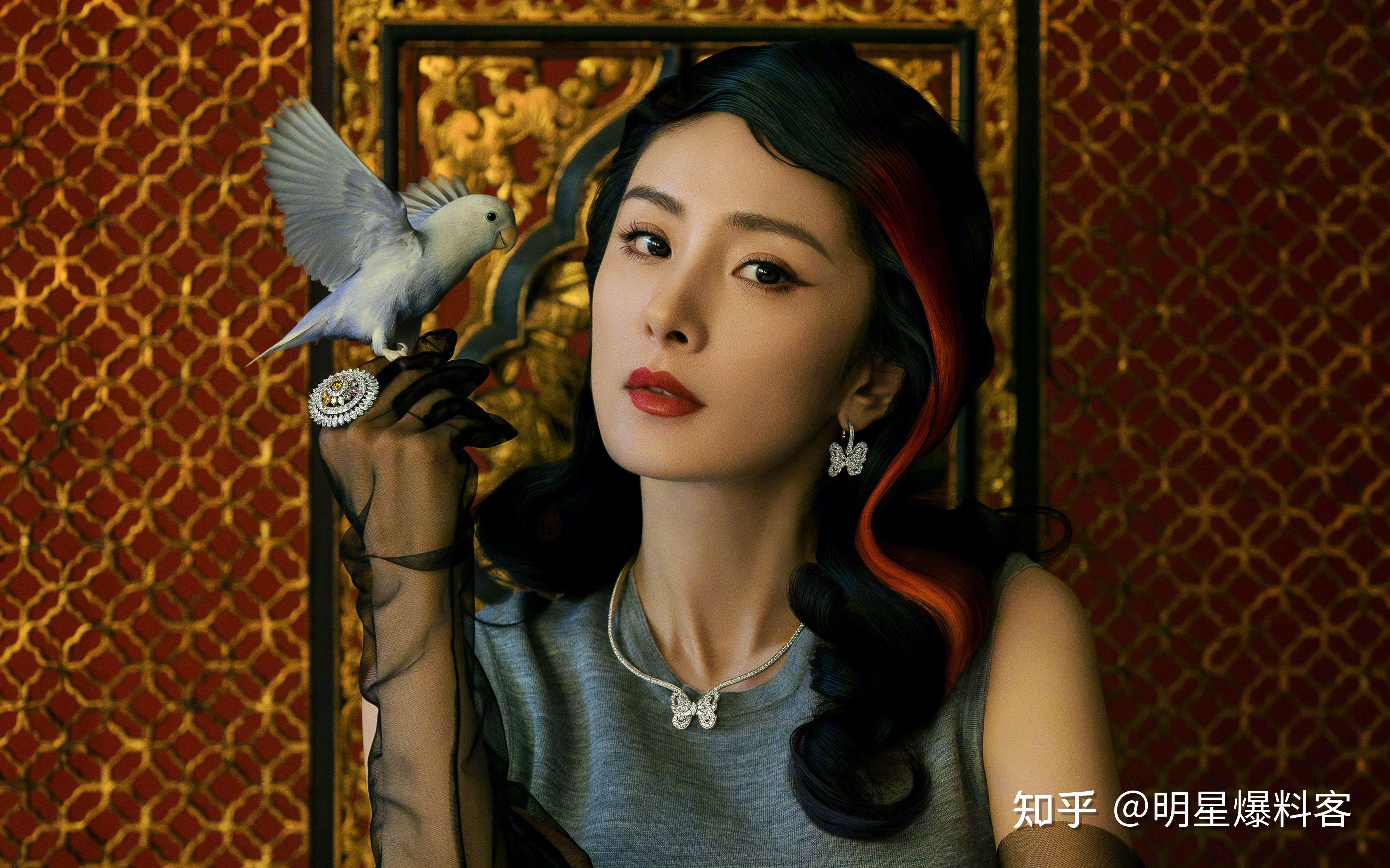 迪丽热巴,肖战,杨幂,杨颖,胡歌,高亚麟,檀健次,贾玲,罗云熙,张若昀