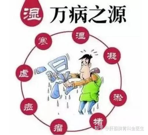 万病之源湿气——它的影响竟然这么大！ - 知乎