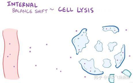 医学科普之高钾血症hyperkalemia