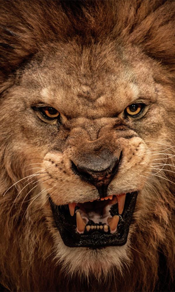 狮身人面像是什么文明的象征 v2-ce098fac819936e0152b44617d5418bb_r.jpg