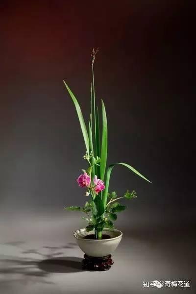 中华传统花艺六大花器，你知道吗- 知乎