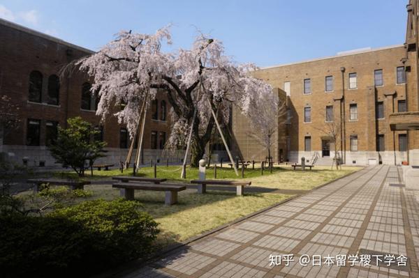 日本留学御茶水女子大学日本语教育合格经验分享 005 知乎