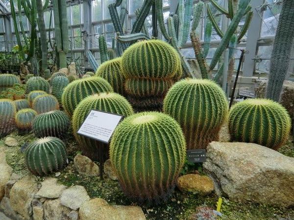 伊豆24小时 带上你的她去伊豆吧 知乎