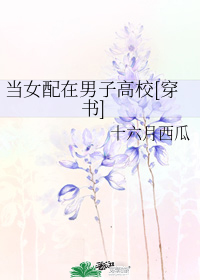 图标