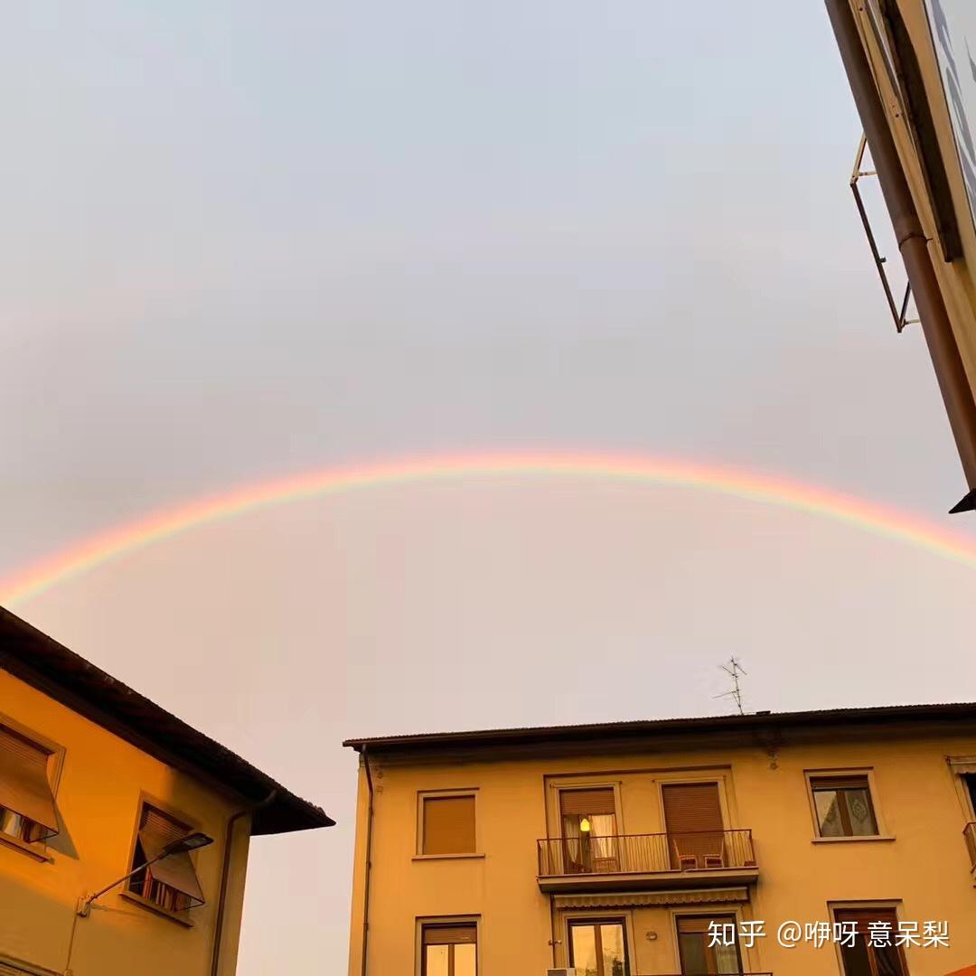 意大利留学高考成绩要求?