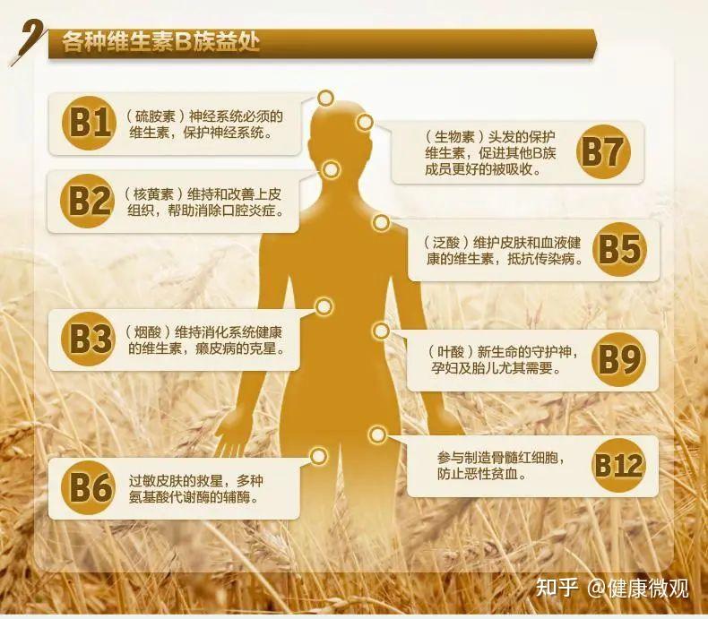 补充的B族维生素,抱团才能“打天下”! - 知乎