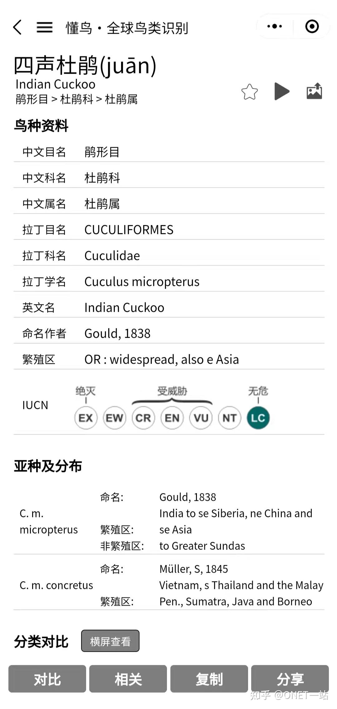 【008】懂鸟-图片识别全球鸟类，并介绍鸟类信息 - 知乎