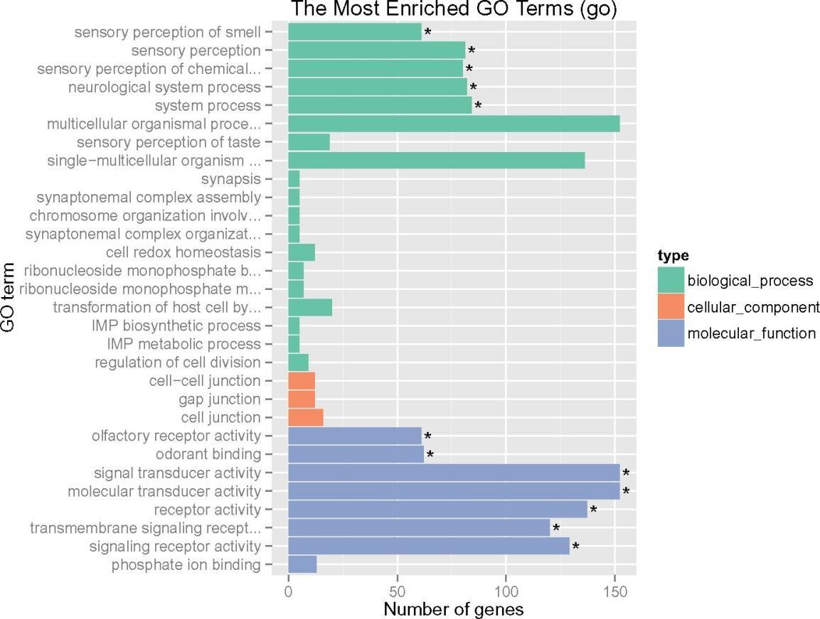 Population Genomics Provide Insights into the Evolution and Adaptation ...