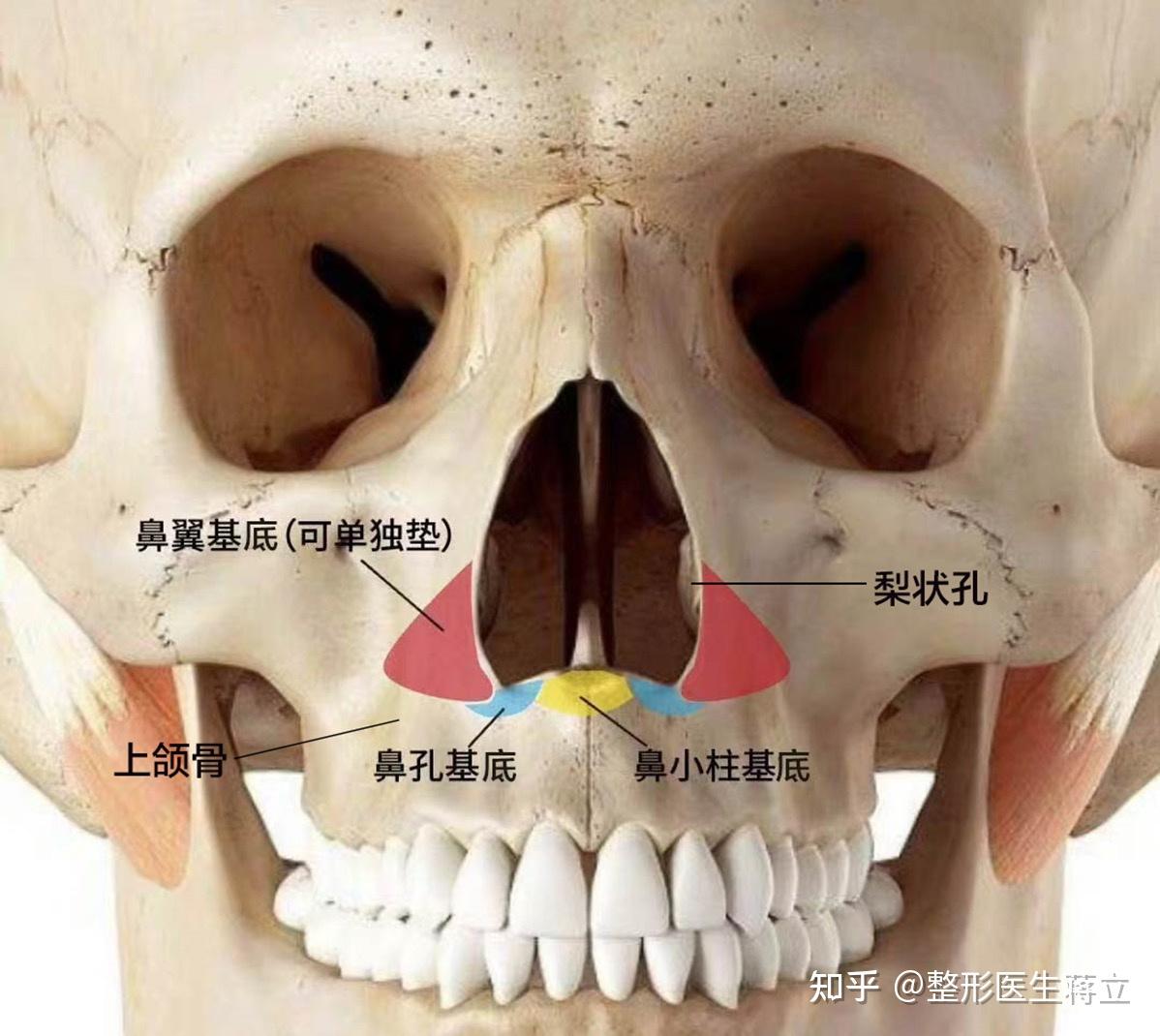 骨面凹陷图片