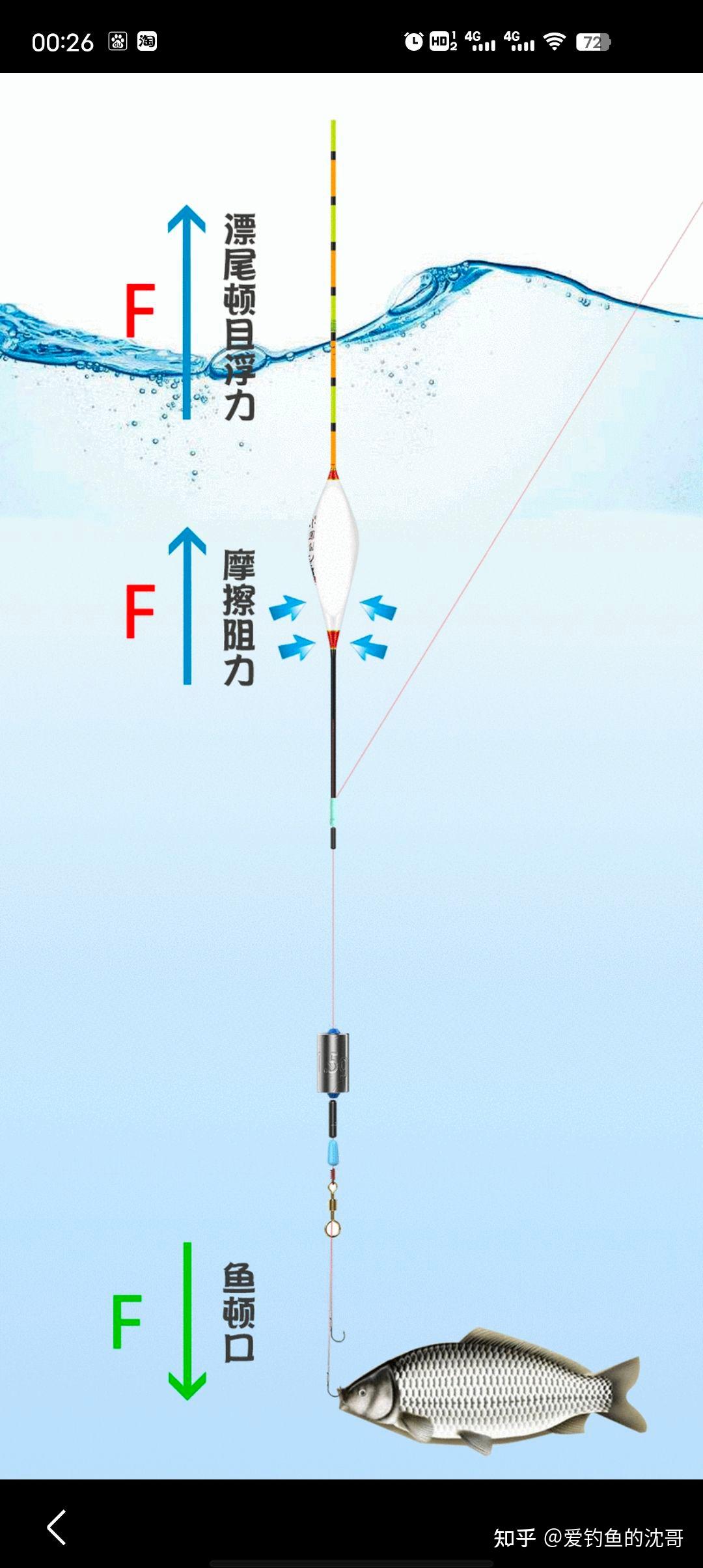 有很多钓友问怎么钓浮？ - 知乎