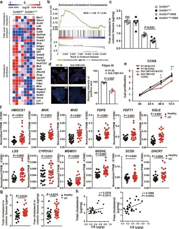 【项目文章】Nat Commun|IF17!通过靶向+空间代谢组+转录组联合探究结肠炎缓解机制 - 知乎