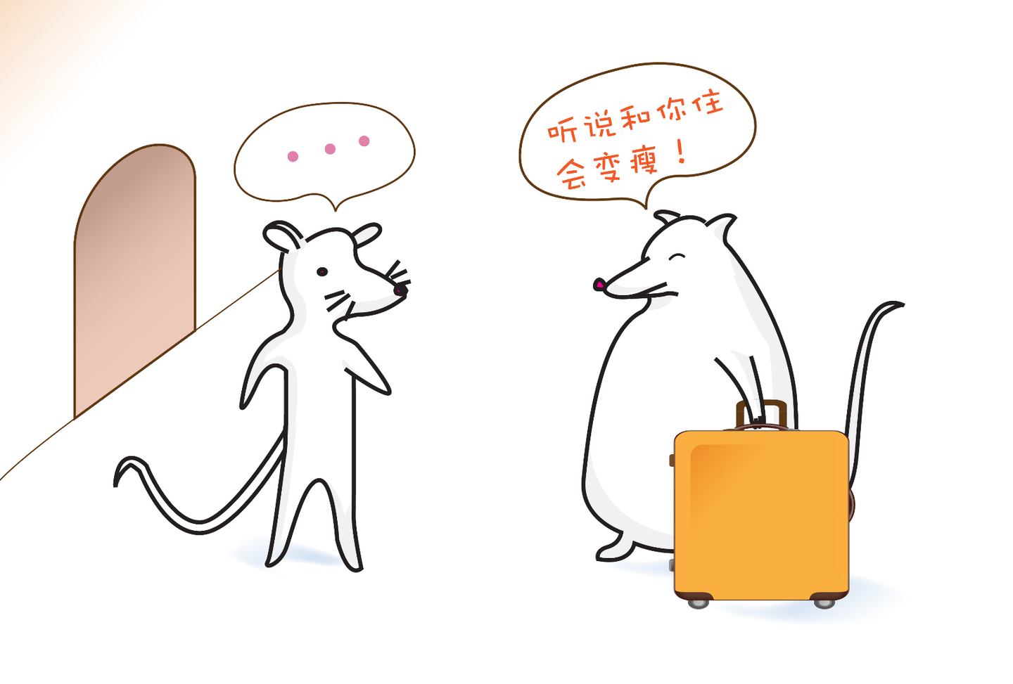 你长的每一两肉都有肠道菌群的功劳