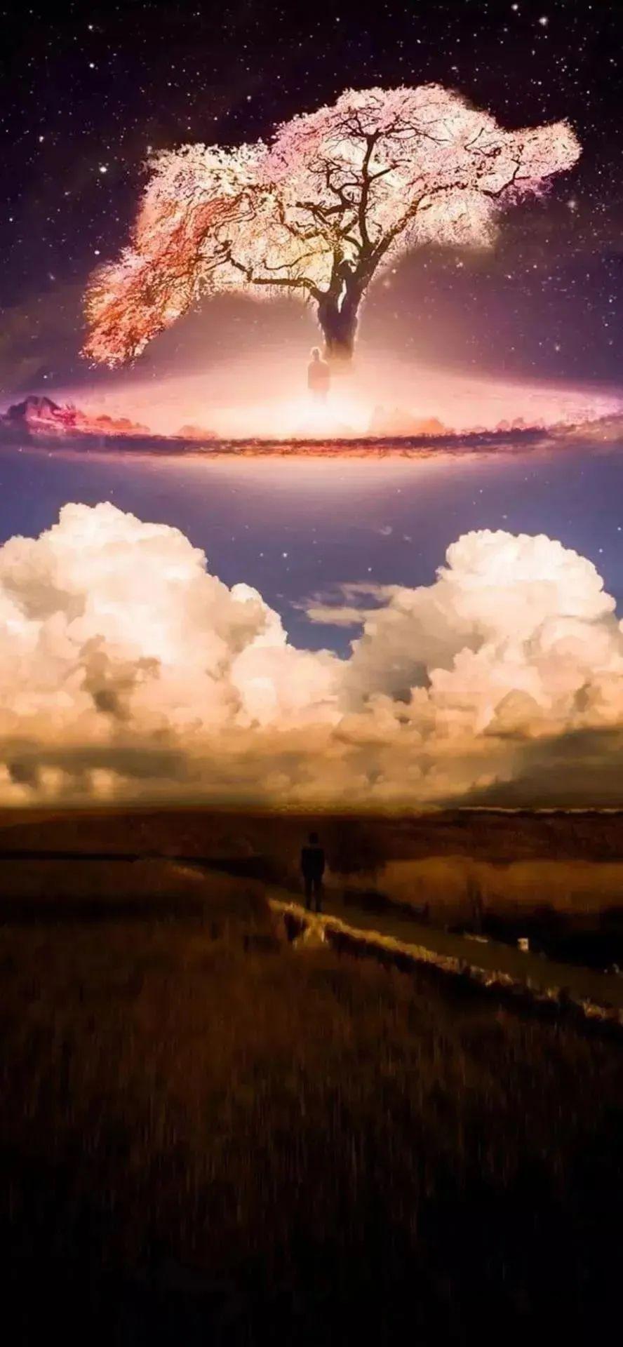 哪里有好看的微信封面背景图呀？