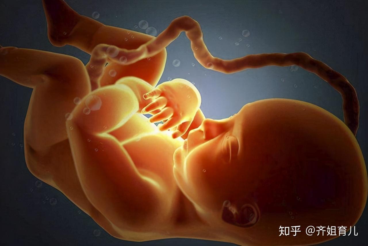 孕五个月男宝宝b超图什么样（0-40周胎儿B超数值对比！教你看懂医院化验单！（孕妈必须收藏）） | 说明书网