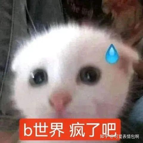 微臣惶恐表情包(太监版Loopy) - 知乎