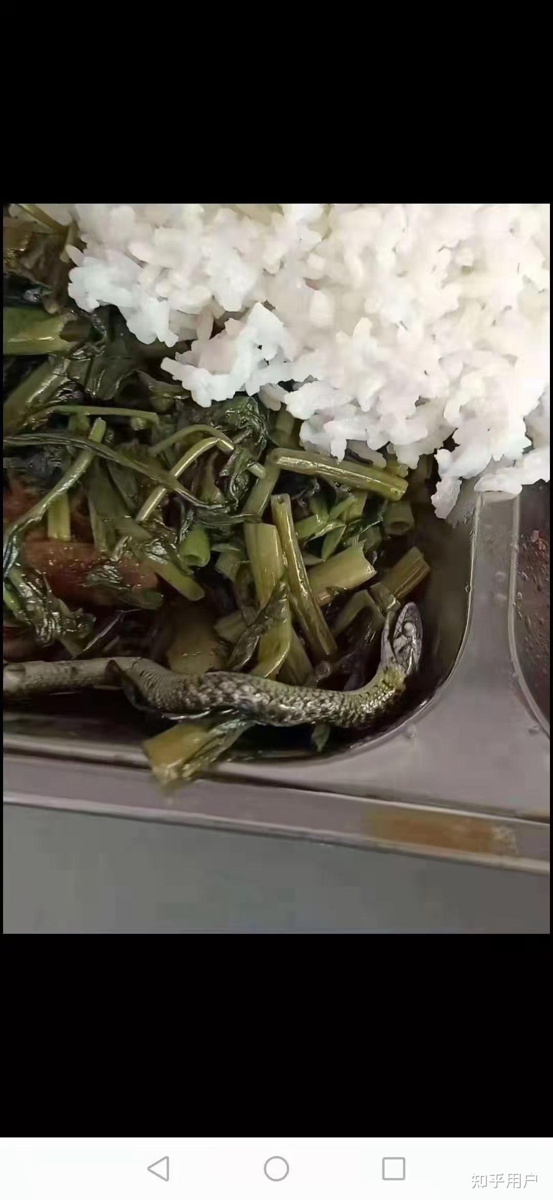 吃饭时候遇到最恶心的事情是什么