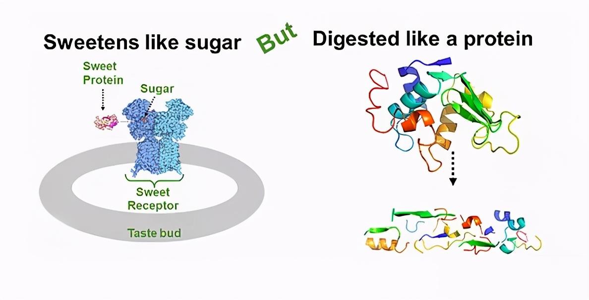 全球都在减糖除了赤藓糖醇三氯蔗糖还有哪些减糖方案有料