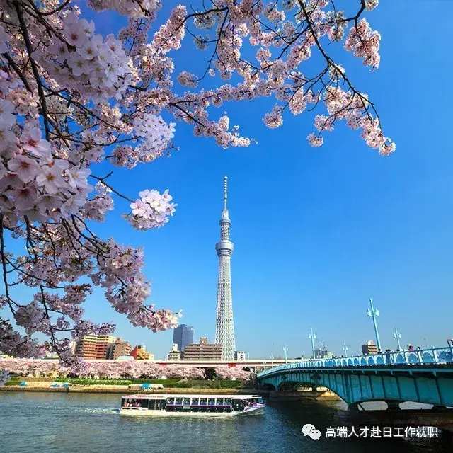 日本绿卡,你值得拥有~