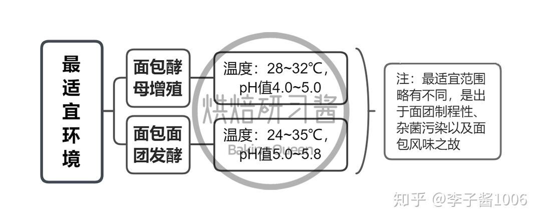 不同的适宜环境:①对于酵母增殖来说,最适温度为28~32℃,最适ph值为4