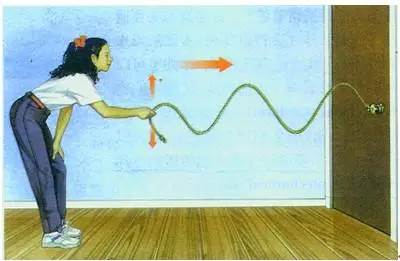 拓展【振动与波】波的概念、分类、物理量与平面简谐波的波函数 - 知乎