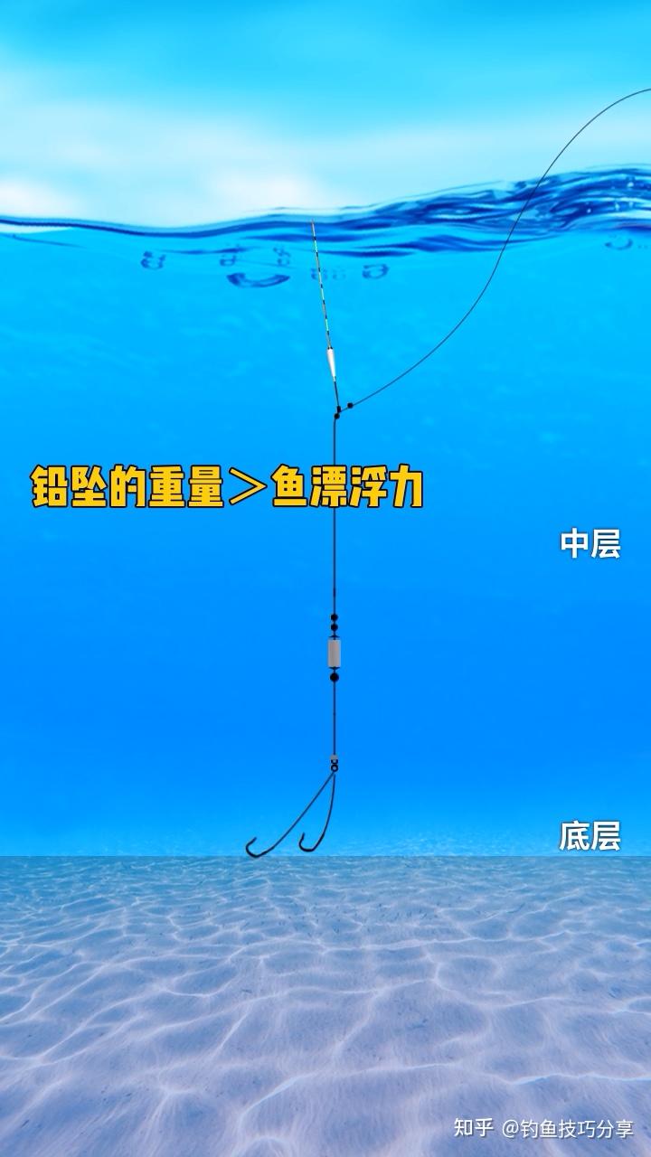 什么是钓底? - 知乎