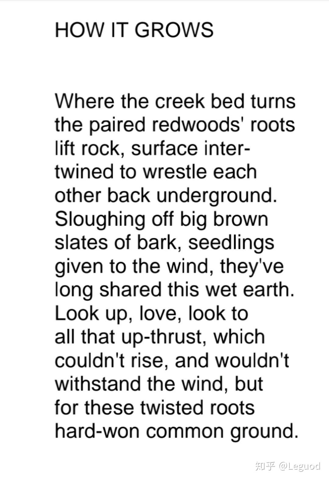 那里有罗纳尔德霍夫曼的诗